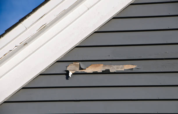 Best Shed Removal  in Piedmont, AL